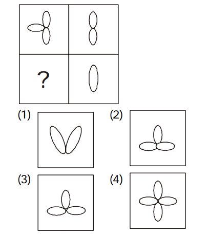 Completion of Figures Question 20