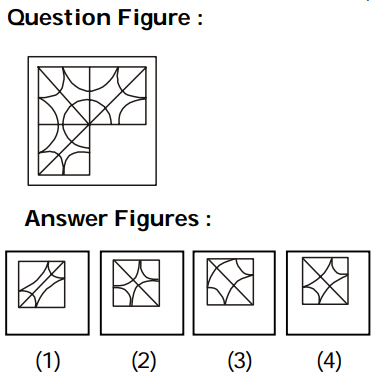 Completion of Figures Question 19