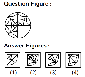Completion of Figures Question 4