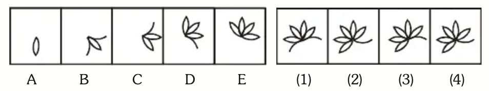 Five Figure Series Question 12