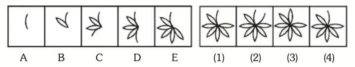 Five Figure Series Question 5