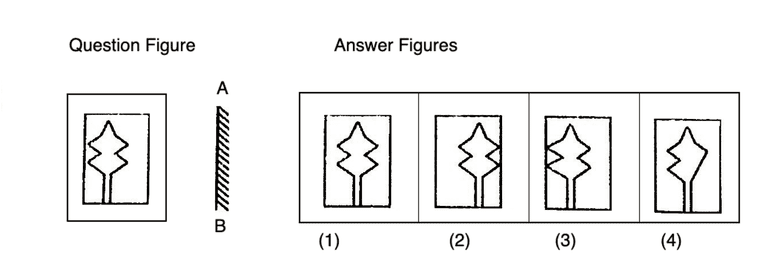 let-us-practice-mirror-image---mirror-images-problems