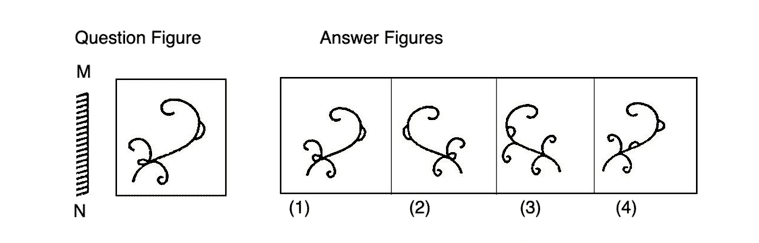 Let Us Practice - Mirror Images Non Verbal Reasoning Questions And ...