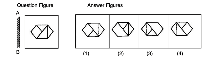 let-us-practice-mirror-images-non-verbal-reasoning-questions-and