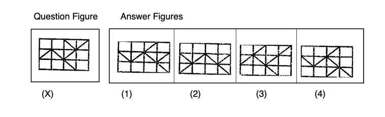 water-image-of-figure---water-images-problems