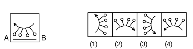 non-verbal reasoning question