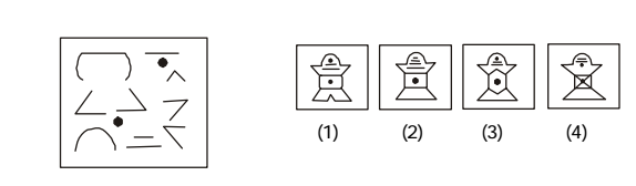 non-verbal reasoning question