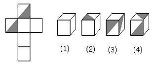 dice,-cube-and-cuboid-logical-reasoning-tips---dice,-cube-&-cuboid